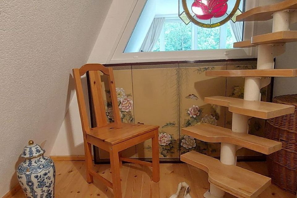Foto: Schult